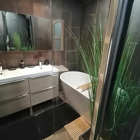 Appartement Le Paul Chandon Centre-ville 4 Pers Parking Prive 2 Places