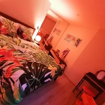 Lejlighed Le Paul Chandon Centre-ville 4 Pers Parking Prive 2 Places *